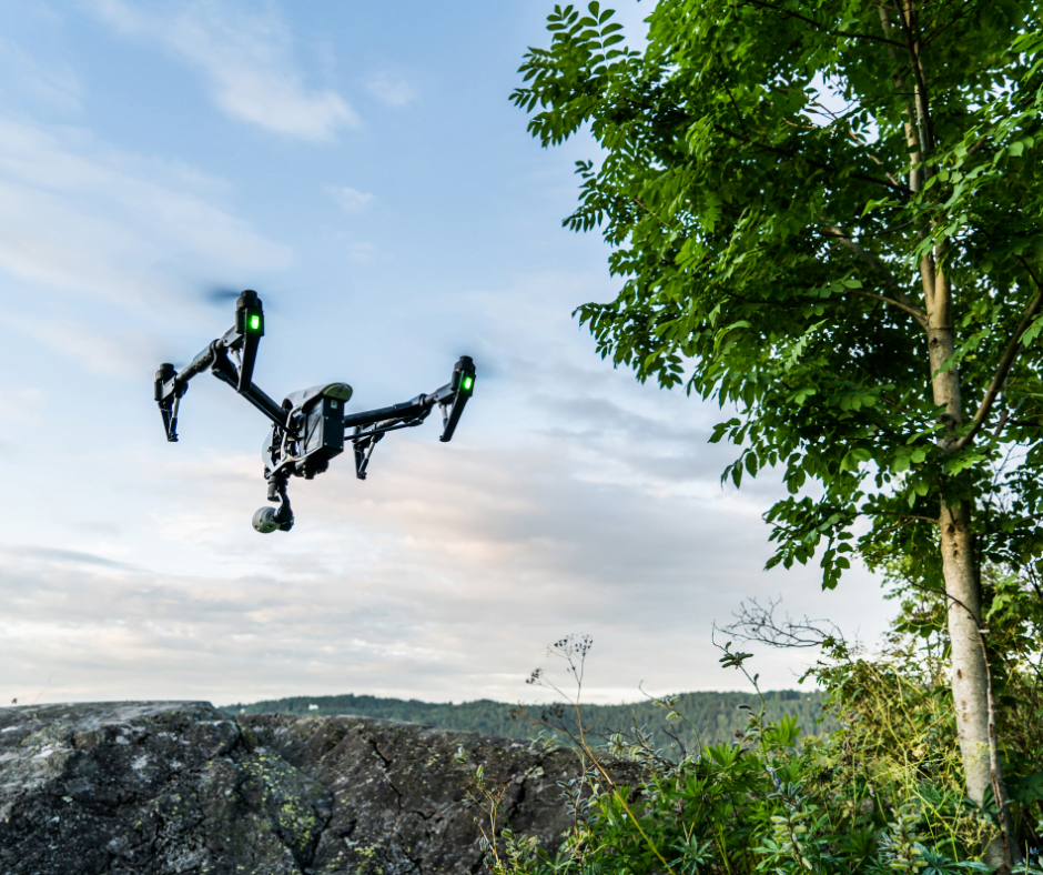 AI's Role in wood industry