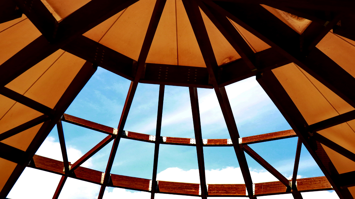 Transparentes Holz